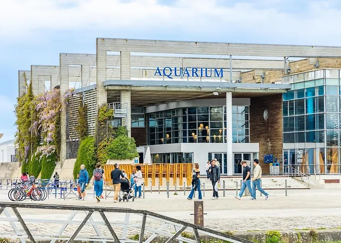 Appartement Sejour Prestige - Vue Et Acces Prive A L'ocean